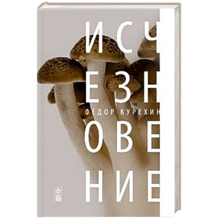 Книги, книга Исчезновение заказать