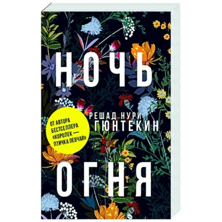 Зарубежная классика, книга Ночь огня заказать