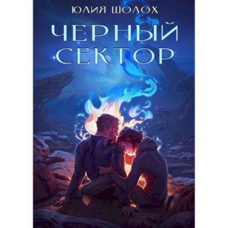 книга Чёрный сектор по низкой цене с доставкой по Испании Мистика, ужасы, книга Чёрный сектор заказать