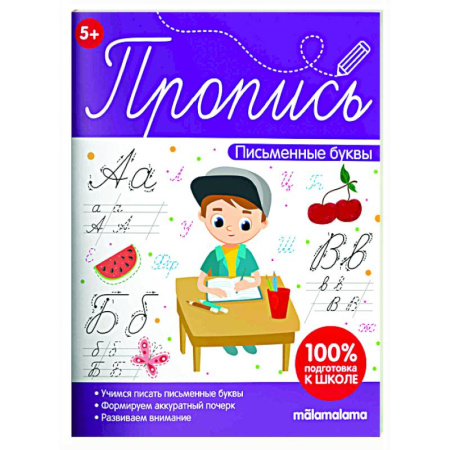Письмо, мелкая моторика, книга Пропись. Письменные буквы заказать