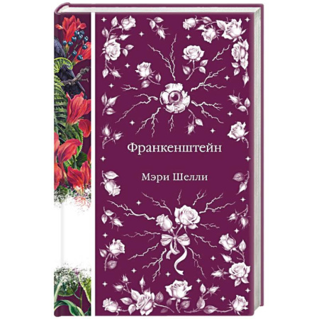 Зарубежная классика, книга Франкенштейн заказать