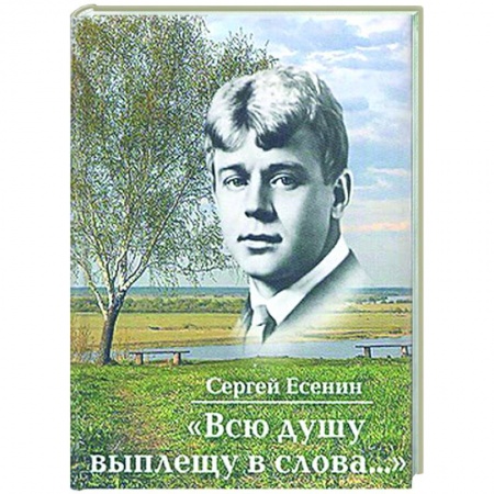 Русская поэзия, книга Всю душу выплещу в слова... заказать