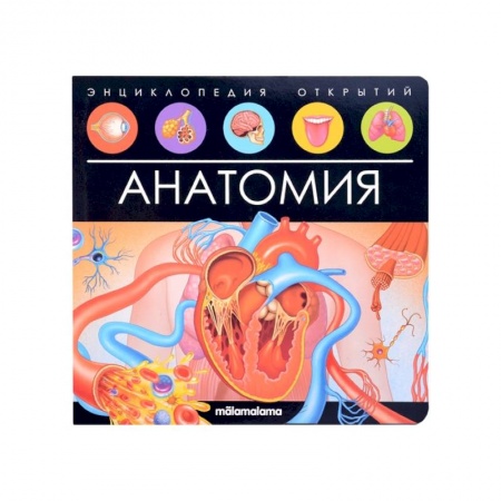 Книги для дошкольников (4-6 лет), книга Энциклопедия открытий. Анатомия заказать