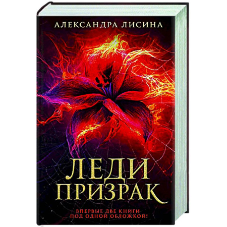 Русское фэнтези, книга Леди-призрак: Вакансия для призрака, Призрак на задании заказать