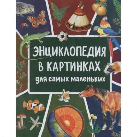 Знакомство с миром, развитие малыша, книга Энциклопедия в картинках для самых маленьких заказать