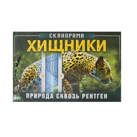 Животный и растительный мир, книга Хищники заказать