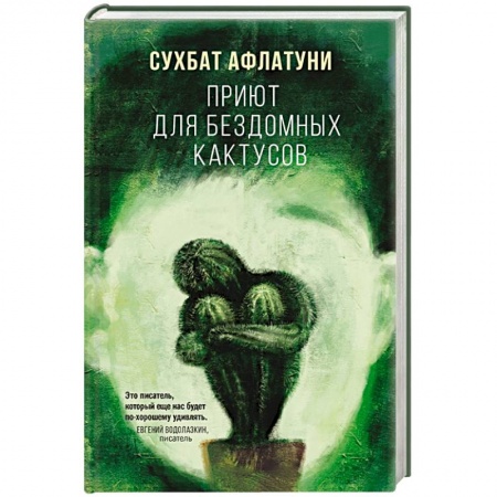 Зарубежная современная проза, книга Приют для бездомных кактусов заказать