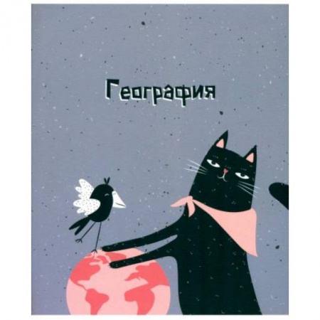 География, книга Тетрадь предметная Silly. География, 48 листов, клетка заказать