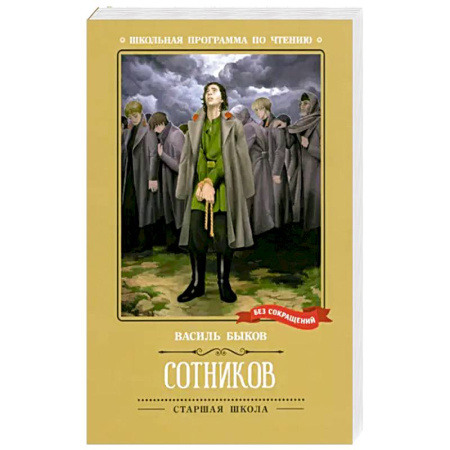 История России, книга Сотников заказать