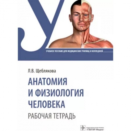 Медицина. Фармакология, книга Анатомия и физиология человека. Рабочая тетрадь: Учебное пособие заказать