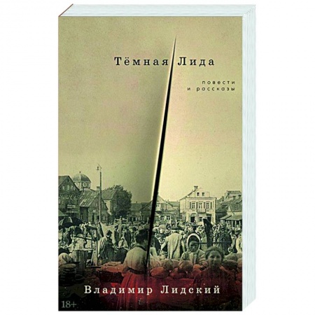 Русская современная проза, книга Темная Лида. Повести и рассказы заказать
