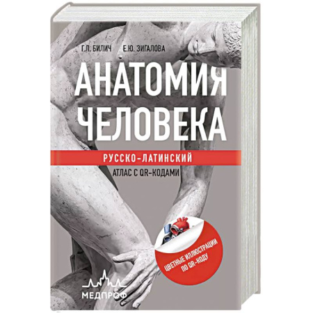 Здоровье, медицинская литература, книга Анатомия человека: Русско-латинский атлас с QR-кодами заказать