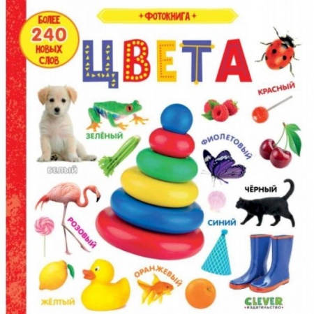 Знакомство с миром, развитие малыша, книга Первые знания. Фотокниги. Фотокнига. Цвета заказать