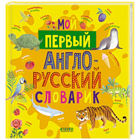 Изучение языков, книга Мой первый англо-русский словарик заказать