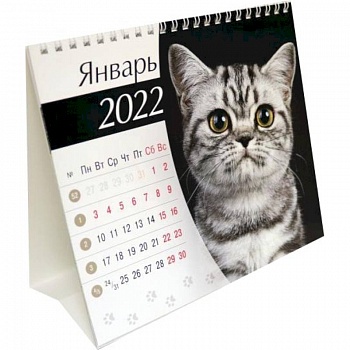 Календарь-домик (евро) Кошки. 2022 год Календарь-домик (евро) Кошки. 2022 год