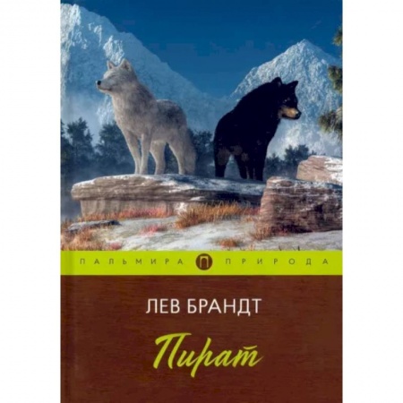 Русская классика, книга Пират. Повести и рассказы заказать