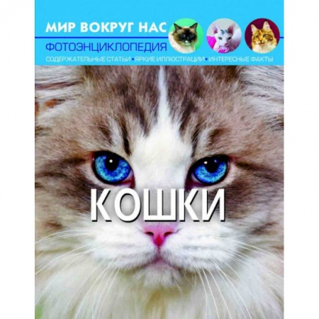Животный и растительный мир, книга Мир вокруг нас. Кошки заказать