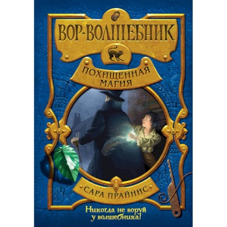 Мистика. Фантастика. Фэнтези, книга Вор-волшебник. Похищенная магия заказать
