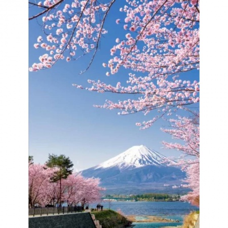 Путеводители по странам, книга 1000 лучших мест планеты, которые нужно увидеть за свою жизнь заказать