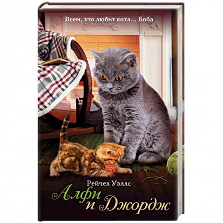 Зарубежная современная проза, книга Алфи и Джордж заказать