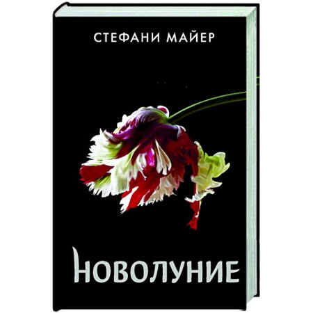 Зарубежное фэнтези, книга Новолуние заказать