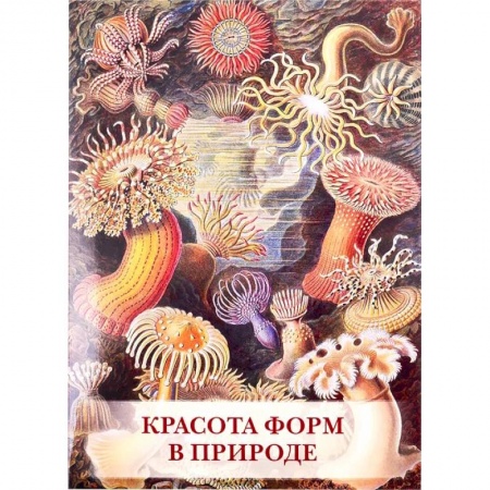 Изобразительное искусство, книга Красота форм в природе заказать