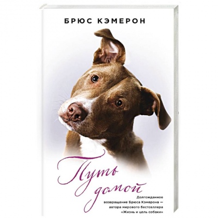 Зарубежная современная проза, книга Путь домой заказать