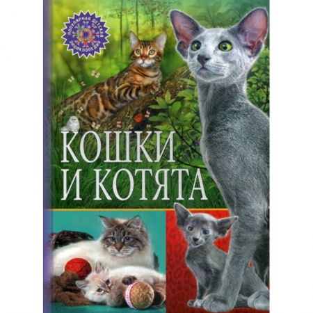 Животный и растительный мир, книга Кошки и котята заказать