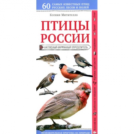 Зоология, книга Птицы России. Наглядный карманный определитель заказать