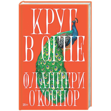 Зарубежная современная проза, книга Круг в огне заказать