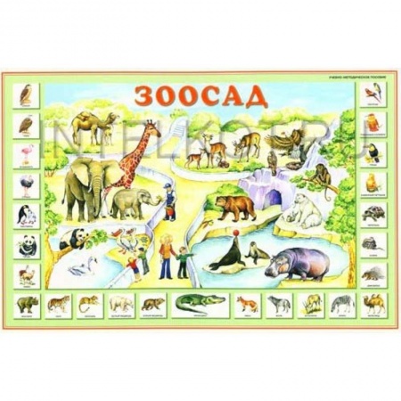 Окружающий мир, книга Зоосад. Плакат для детей (двухсторонний) заказать