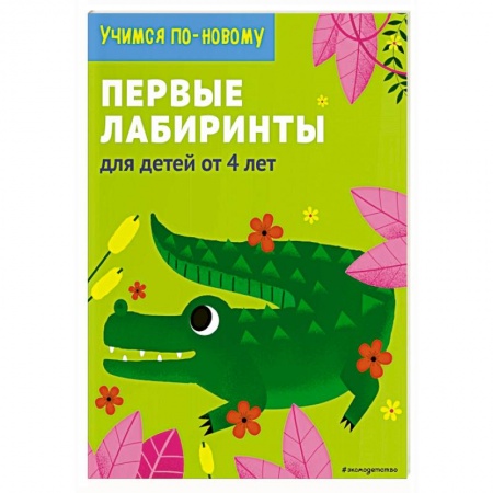 Кроссворды, головоломки, комиксы, книга Занимательные лабиринты: для детей от 4 лет заказать