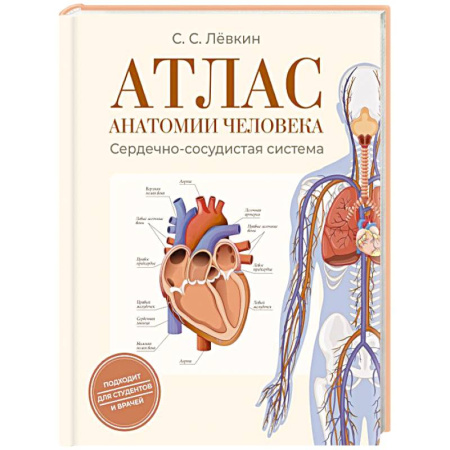 Анатомия и физиология человека, книга Атлас анатомии человека. Сердечно-сосудистая система заказать