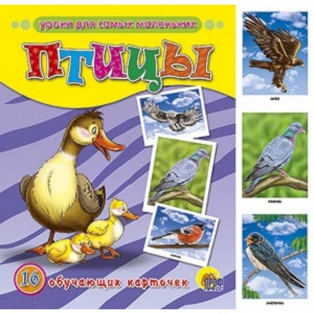 Книги, книга Обучающие карточки. Птицы заказать