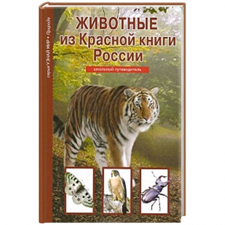 Книги, книга Животные из Красной книги России. Школьный путеводитель заказать