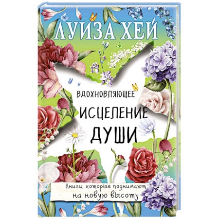 Эзотерика. Оккультизм, книга Вдохновляющее исцеление души заказать