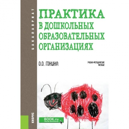 Педагогика, книга Практика в дошкольных образовательных организациях. (Бакалавриат). Учебно-методическое пособие заказать