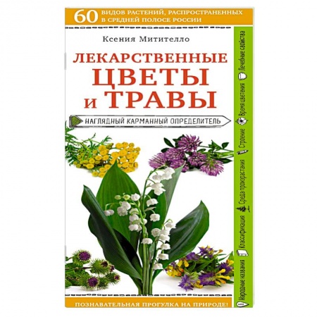 Лечебные свойства растений, минералов и т.д., книга Лекарственные цветы и травы. Наглядный карманный определитель заказать