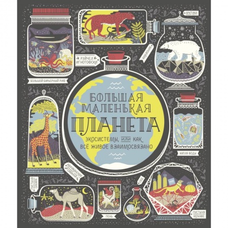 Человек. Земля. Вселенная, книга Большая маленькая планета. Экосистемы, или Как всё живое взаимосвязано заказать