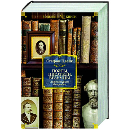 Мемуары, биографии деятелей культуры, искусства, книга Поэты, писатели, безумцы. Литературные биографии заказать