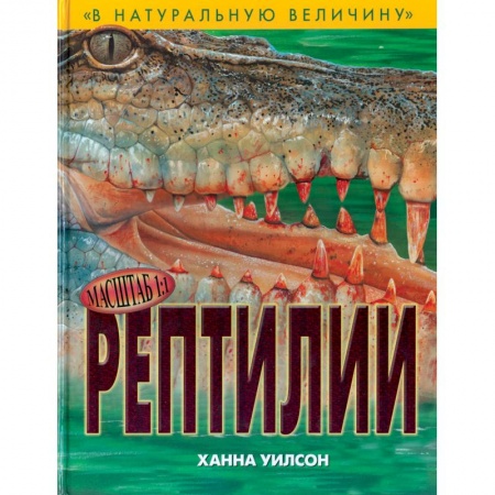 Книги, книга Рептилии заказать