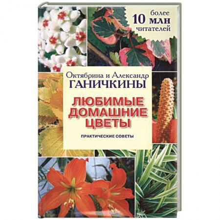 Книги, книга Любимые домашние цветы заказать