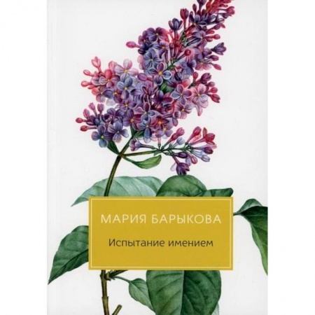 Русская современная проза, книга Испытание имением заказать