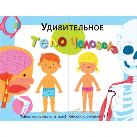 Познавательная литература, книга Удивительное тело человека заказать