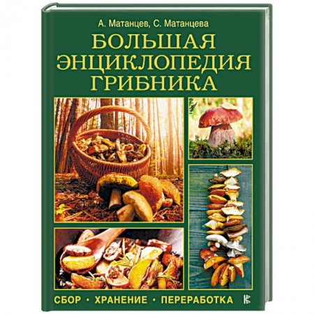 Грибы. Справочники. Определители, книга Большая энциклопедия грибника. Сбор, хранение, переработка заказать