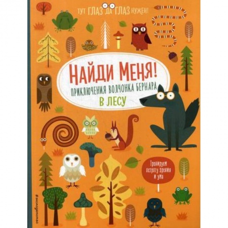 Активные игры дома и на улице, книга Найди меня! Приключения волчонка Бернара в лесу заказать