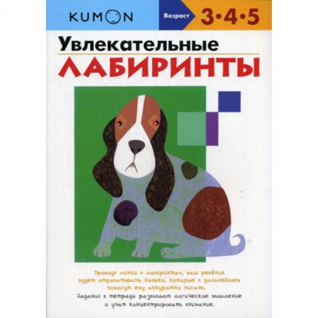 Письмо, мелкая моторика, книга Увлекательные лабиринты заказать