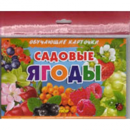 Окружающий мир, книга Садовые ягоды заказать