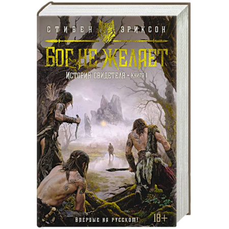 Зарубежное фэнтези, книга История свидетеля. Книга 1. Бог не желает заказать