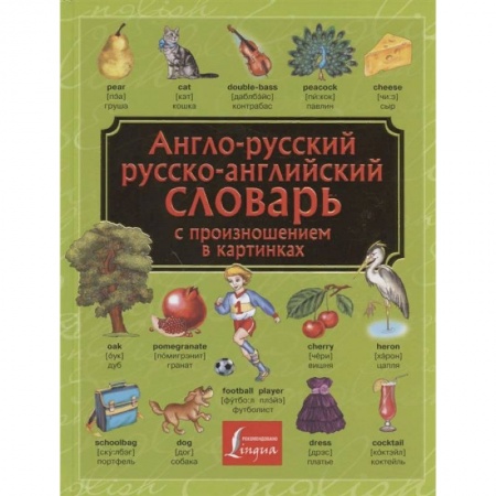 Словари, книга Англо-русский. Русско-английский словарь с произношением в картинках заказать
